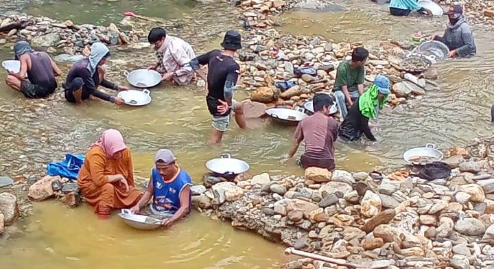 Berburu Emas, Puluhan Warga Serbu Sungai Ulunggolaka