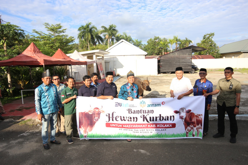 Wujud Nyata Sinergitas dengan Masyarakat, ANTAM Salurkan 15 Ekor Bantuan Sapi Qurban 
